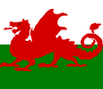 Welsh Flag - Dragon