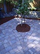 Rock Planter