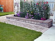 Brick Walkway and Planter